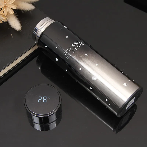 Smart Stainless Steel Thermal with Display Temperature