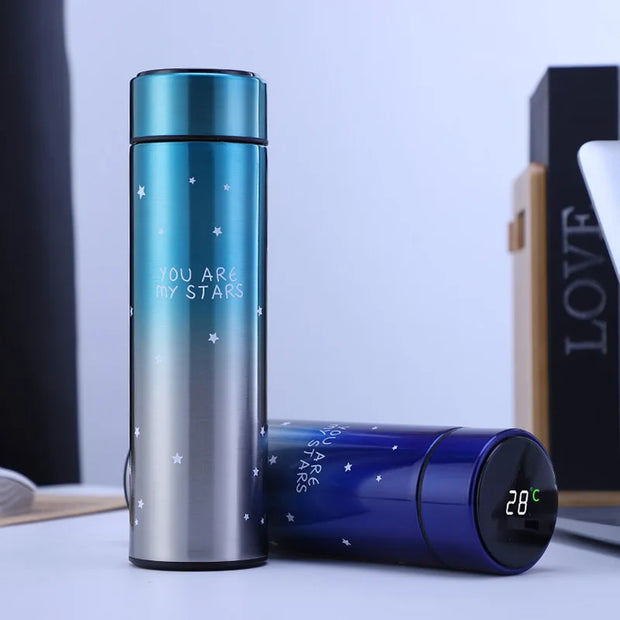 Smart Stainless Steel Thermal with Display Temperature
