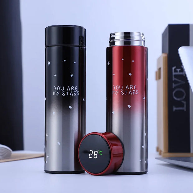 Smart Stainless Steel Thermal with Display Temperature